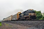 NS 4484 on 11N